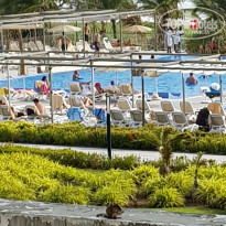 фото из отзыва ID 1989953