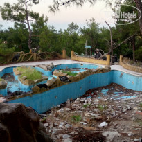 фото из отзыва ID 1989780