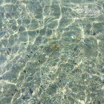 фото из отзыва ID 1989762