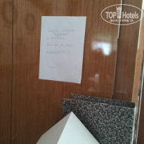 фото из отзыва ID 1985294