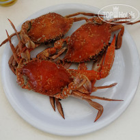 фото из отзыва ID 1987251