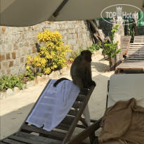 фото из отзыва ID 1989924