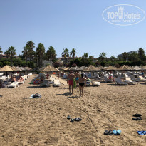 фото из отзыва ID 1989359