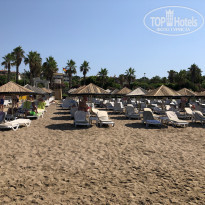 фото из отзыва ID 1989359