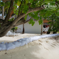 фото из отзыва ID 1988363