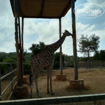 фото из отзыва ID 1982364