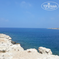 фото из отзыва ID 1982364