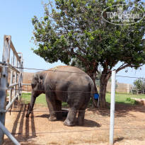 фото из отзыва ID 1982364