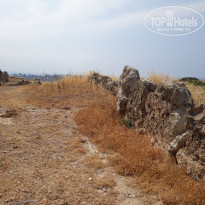 фото из отзыва ID 1982364