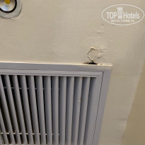 фото из отзыва ID 1984368