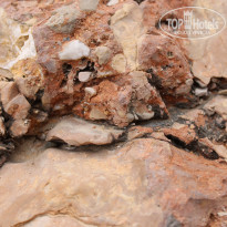 фото из отзыва ID 1987529