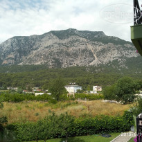 фото из отзыва ID 1986075