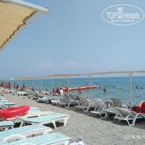 фото из отзыва ID 1986075