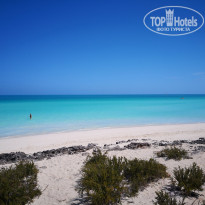 фото из отзыва ID 1983050