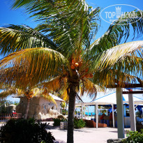 фото из отзыва ID 1983050