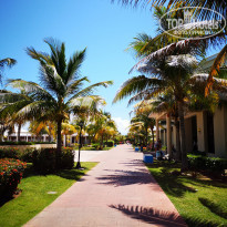 фото из отзыва ID 1983050