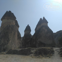 фото из отзыва ID 1984726