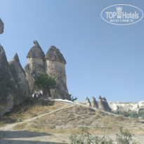 фото из отзыва ID 1984726