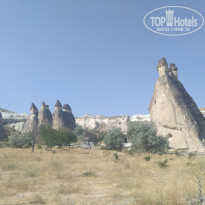 фото из отзыва ID 1984726