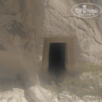 фото из отзыва ID 1984726