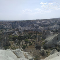 фото из отзыва ID 1984726