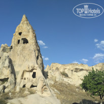 фото из отзыва ID 1984726