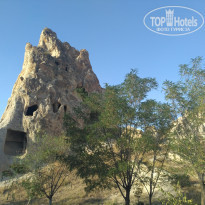 фото из отзыва ID 1984726