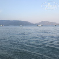 фото из отзыва ID 1986718