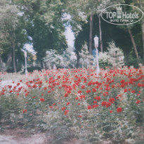 фото из отзыва ID 1988541