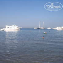 фото из отзыва ID 199200