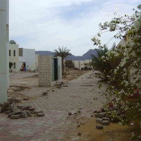 фото из отзыва ID 199308