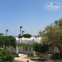 фото из отзыва ID 1990035