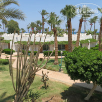 фото из отзыва ID 1990035