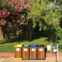 фото из отзыва ID 1990189