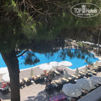 фото из отзыва ID 1990219