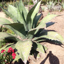 фото из отзыва ID 1990244
