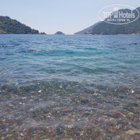 фото из отзыва ID 1990289