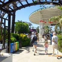 фото из отзыва ID 1990464