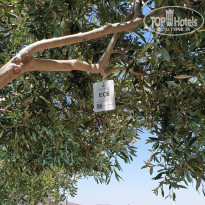 фото из отзыва ID 1990500