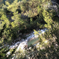 фото из отзыва ID 1990524