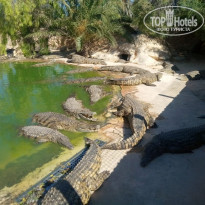 фото из отзыва ID 1990625