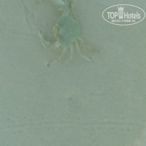 фото из отзыва ID 1990763