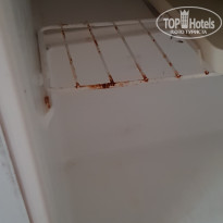 фото из отзыва ID 1990791