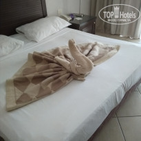 фото из отзыва ID 1990748