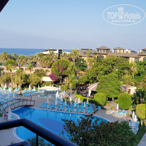 фото из отзыва ID 1990933