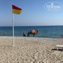 фото из отзыва ID 1990921