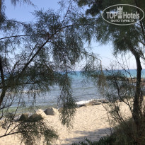 фото из отзыва ID 1990847