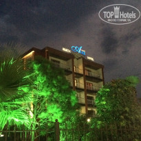 фото из отзыва ID 1991042