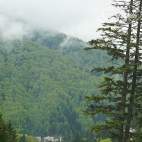 фото из отзыва ID 1990716