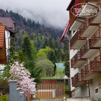 фото из отзыва ID 1990716